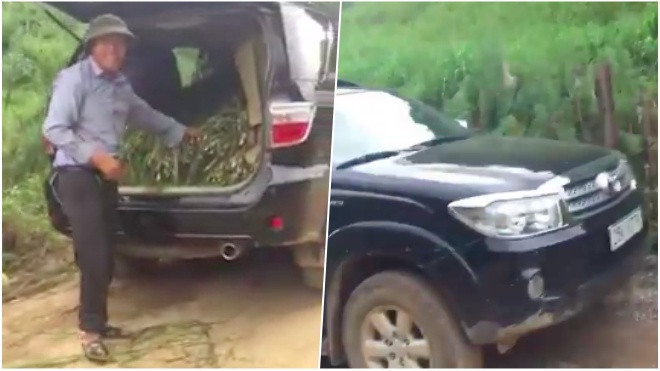 Clip: 'Nông dân' Sơn La mang xe ô tô tiền tỷ đi chở cỏ cho bò gây sốt mạng xã hội Ảnh 2