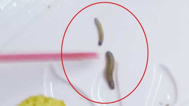 Mất 12 triệu vì đăng Facebook tố cáo bánh Trung thu có dòi Ảnh 2