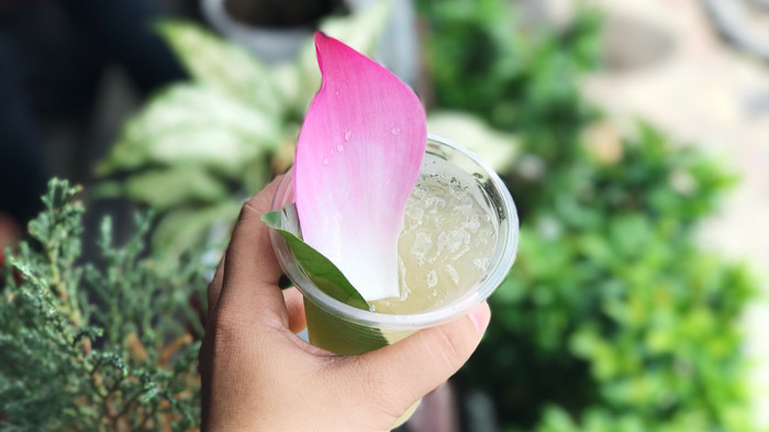 Dừng chân uống trà sen ở giữa phố cổ Hội An Ảnh 2