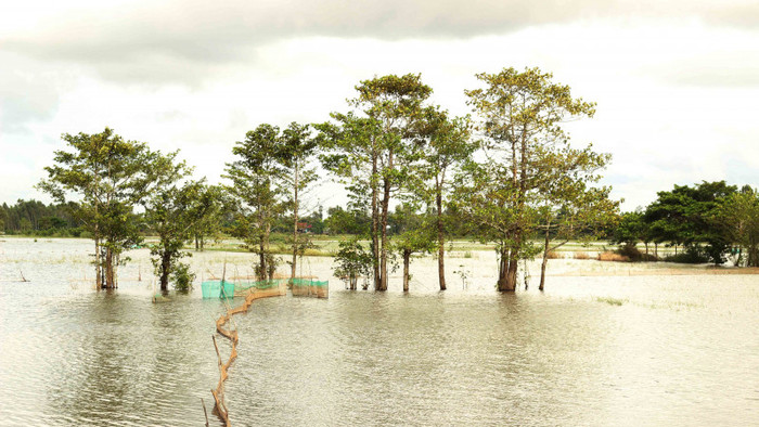 Chùm ảnh miền Tây mùa nước nổi Ảnh 2