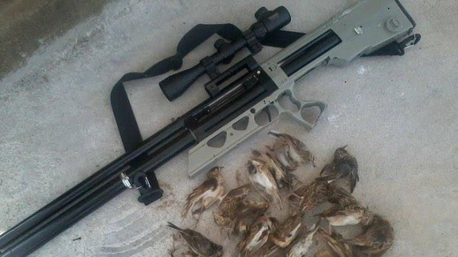 Nam thanh niên dùng súng hơi bắn chim nhưng lại trúng đầu bé trai 10 tuổi Ảnh 2