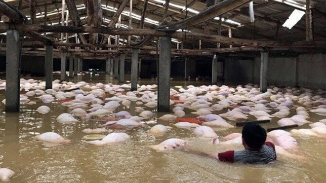 Mưa gây lũ lớn ở Bắc Bộ vào tháng 10 là chưa từng có Ảnh 2