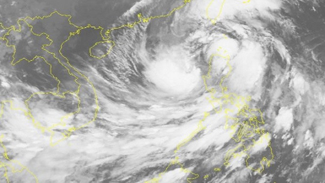 Bão số 11 liên tục mạnh thêm, có thể giật cấp 16 Ảnh 2