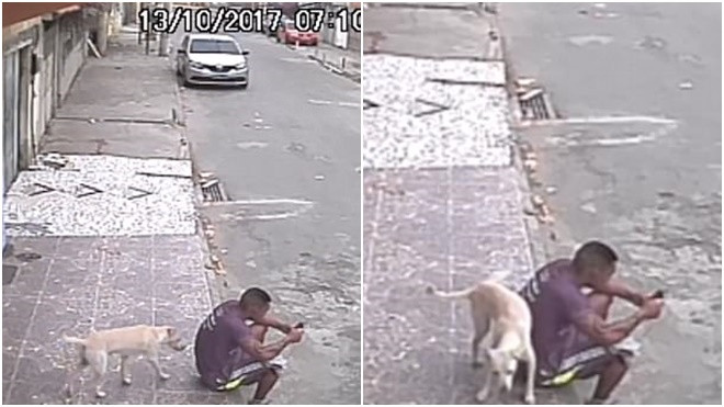 Đang mải mê ngồi bấm điện thoại trên vỉa hè, bị chó đi qua ghếch chân tiểu tiện vào lưng Ảnh 2