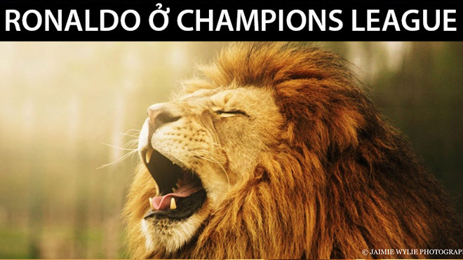 Ảnh chế: Ronaldo hóa 'sư tử' ở Champions League Ảnh 2