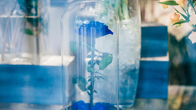 Ăn theo phim 'Người đẹp và Quái vật', hồng bất tử đặt trong lồng kính giá 3,5 triệu đồng gây sốt Ảnh 2