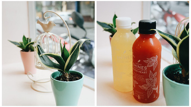 Điểm đến cho những ai yêu thích tông màu pastel và thức uống healthy Ảnh 2