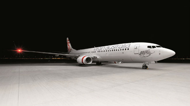 Máy bay hạ cánh khẩn cấp sau khi va chạm với đại bàng và thỏ Ảnh 2