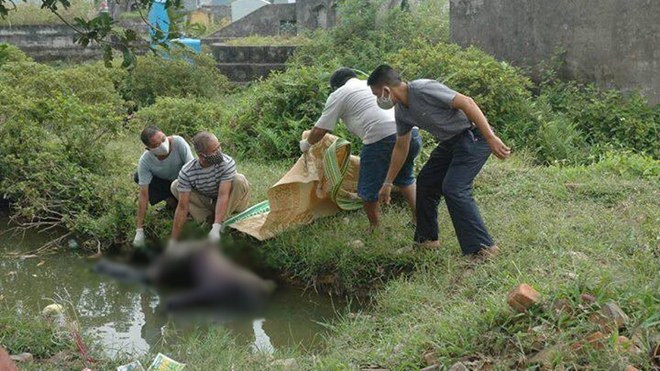 Thi thể nam thanh niên nổi dưới ao gần ngay sát cánh đồng Ảnh 2