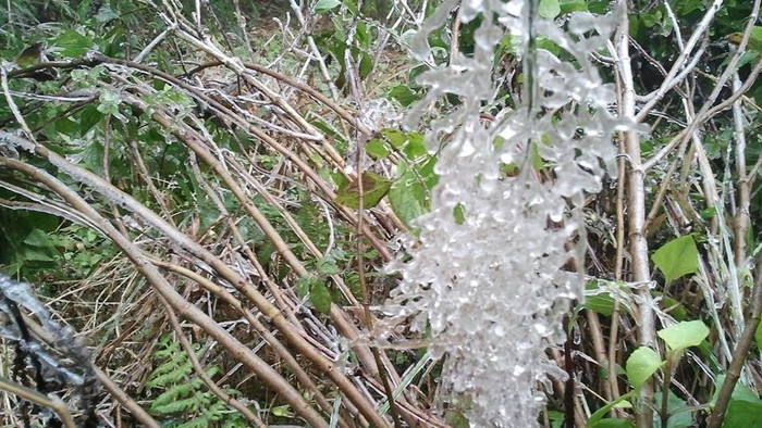 Đỉnh Fansipan xuống 0 độ C, xuất hiện băng giá Ảnh 2