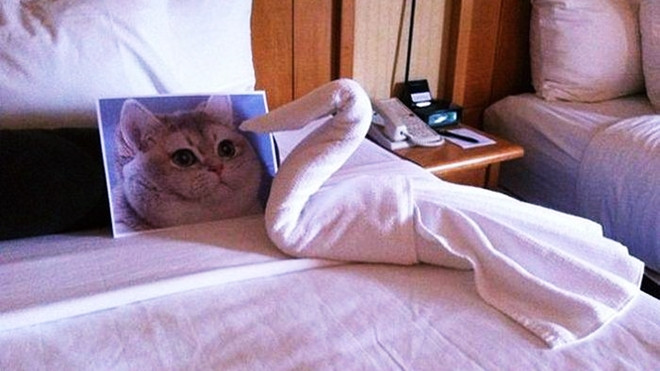 Chết cười với độ 'lầy' của những khách sạn sẵn sàng đáp ứng yêu cầu quái dị nhất của khách hàng Ảnh 2