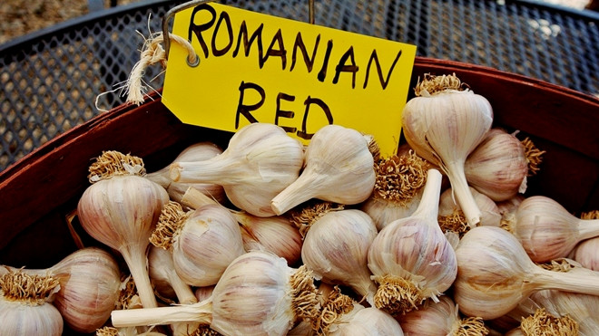 Đây là lý do vì sao người Romania lại 'cuồng' tỏi đến như vậy Ảnh 2