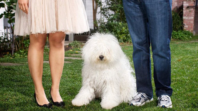 Chuyện tình 14 năm đẹp chẳng kém ngôn tình của ông chủ Facebook và Priscilla Chan Ảnh 2