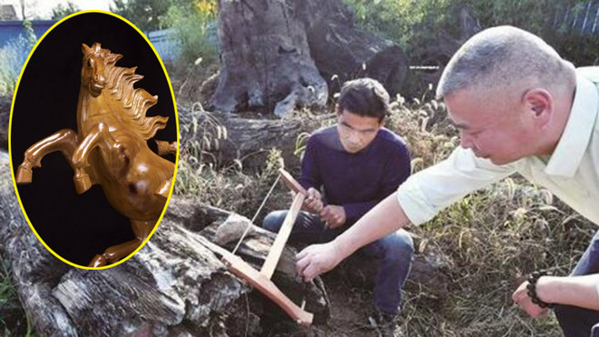 Tưởng khúc gỗ không đáng tiền, người đàn ông phát hiện ra 'kho báu' bạc tỷ Ảnh 2