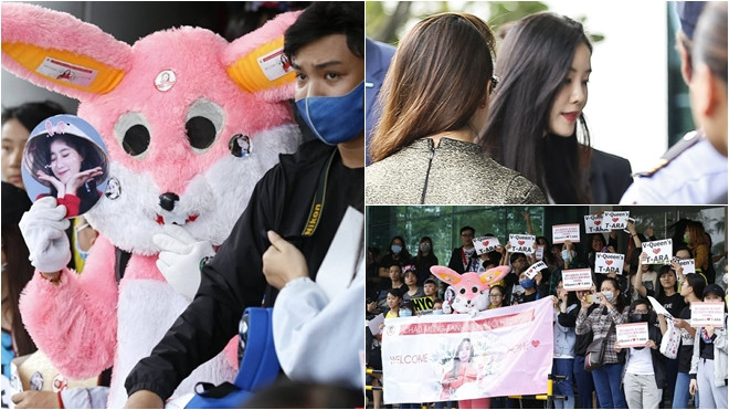 Fan mặc đồ thú nhồi bông đáng yêu đợi T-ara tại khách sạn giữa trời nắng Ảnh 2