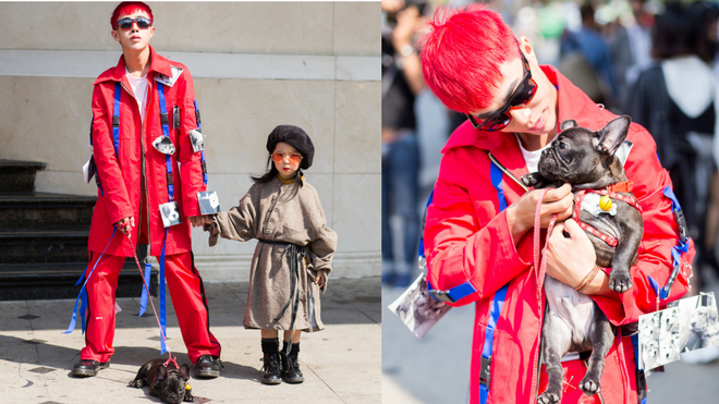 'Cu cậu Hà thành' khoe street style cùng thú cưng gây thích thú người đi đường Ảnh 2