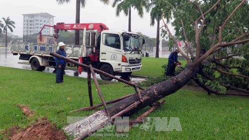 Lùi trận đấu Quảng Nam FC - Than Quảng Ninh sang ngày 5/11 do bão Ảnh 2
