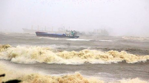 Điều tra vụ 10 tàu hàng chìm khiến nhiều thuyền viên chết và mất tích Ảnh 2