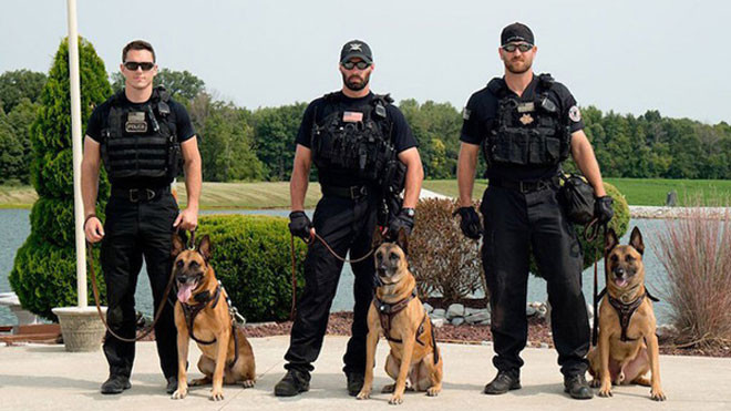Chó nghiệp vụ: 'Người hùng 4 chân' không thể thiếu trong mỗi chuyến công du của Tổng thống Mỹ Ảnh 2
