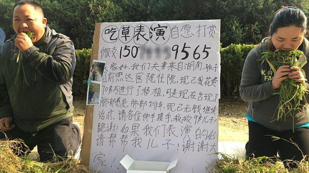 Cặp vợ chồng ăn cỏ 'mua vui' cho người qua đường và sự thật khiến ai cũng rơi nước mắt Ảnh 2