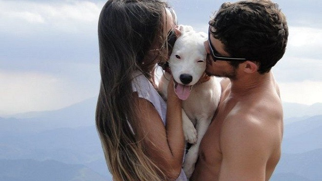 Dở khóc dở cười với câu chuyện 'Tình yêu 2 năm chấm dứt vì một con chó!' Ảnh 2