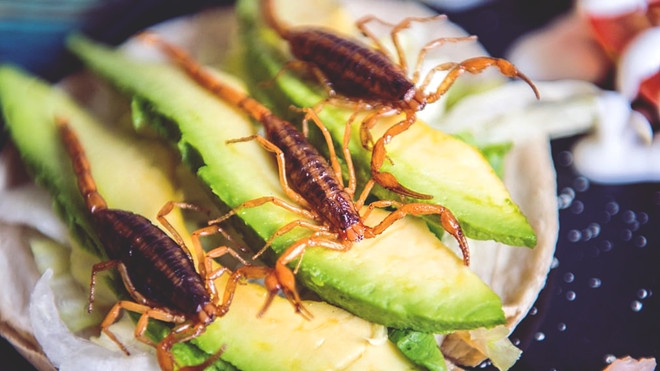 Khám phá tour du lịch ẩm thực đến Mexico Ảnh 2