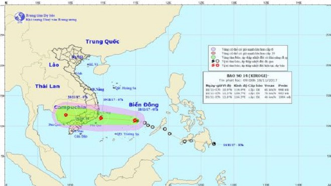 Bão số 14 giật cấp 11, TP. HCM họp khẩn ứng phó bão Ảnh 2