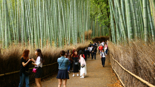 Cố đô Kyoto: Những địa điểm du khách không thể bỏ qua Ảnh 2