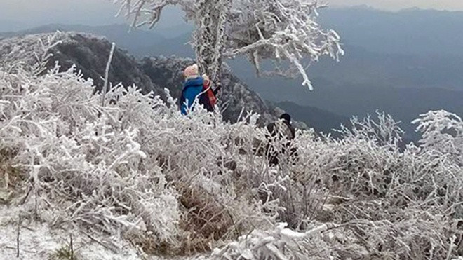 Cận cảnh đỉnh Phia Oắc , Cao Bằng chìm trong băng tuyết Ảnh 2