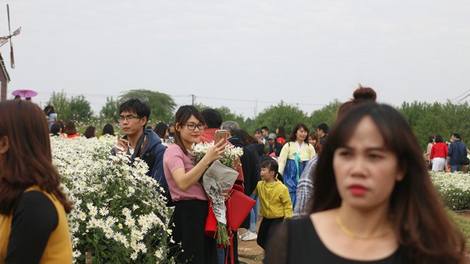 Bất chấp trời rét 15 độ C, người Hà Nội vẫn xúng xính váy áo, rủ nhau đi chụp ảnh cùng cúc họa mi Ảnh 2