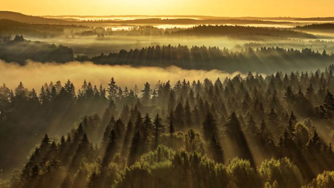 Vì sao Phần Lan là quốc gia đáng sống nhất trên Trái Đất Ảnh 2