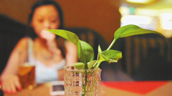 Người theo đuổi xếp hàng dài, cô gái vẫn chi hơn 24 triệu cho trung tâm mối giới để nối lại tình xưa Ảnh 2