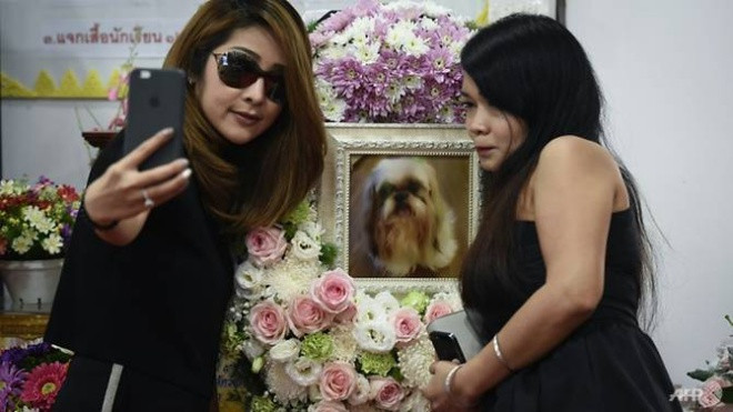 Trào lưu chi nghìn đô để lo tang lễ cho thú cưng gây sốt ở Thái Lan Ảnh 2