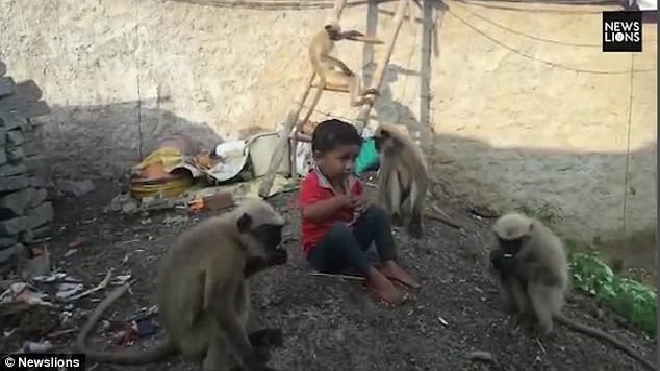 Tarzan ngoài đời thực: Cậu bé sống với bầy khỉ hoang dã như anh em trong nhà Ảnh 2