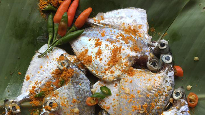 Chiều đông, nhớ nồi cá kho dân dã của mẹ Ảnh 2