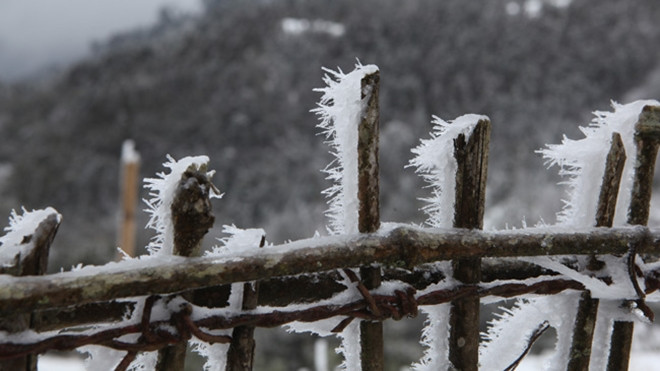 Đây là lý do khẳng định mùa đông năm nay sẽ khắc nghiệt hơn Ảnh 2