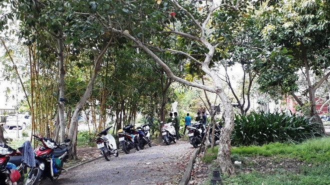 Phát hiện thi thể bé sơ sinh đang phân hủy trong công viên Ảnh 2