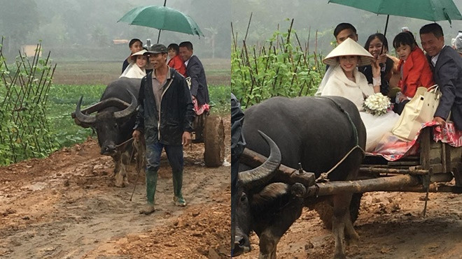Đám cưới rước dâu bằng xe trâu kéo khiến dân mạng thích thú Ảnh 2