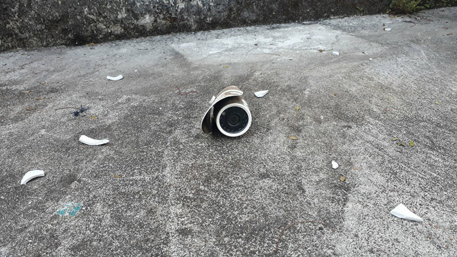 Một gia đình bị tạt máu heo vào nhà trong đêm Ảnh 2