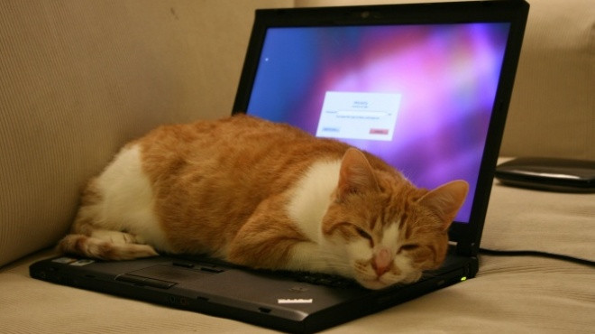 13 thói quen sai lầm khiến laptop của bạn 'chết dần chết mòn' theo thời gian Ảnh 2