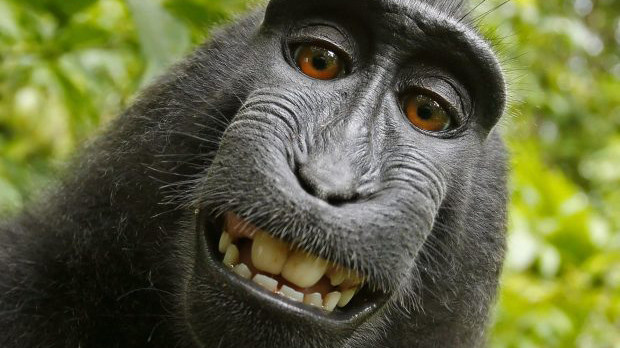 Những câu chuyện điên rồ đằng sau 5 bức ảnh selfie được tìm kiếm nhiều nhất năm 2017 Ảnh 2