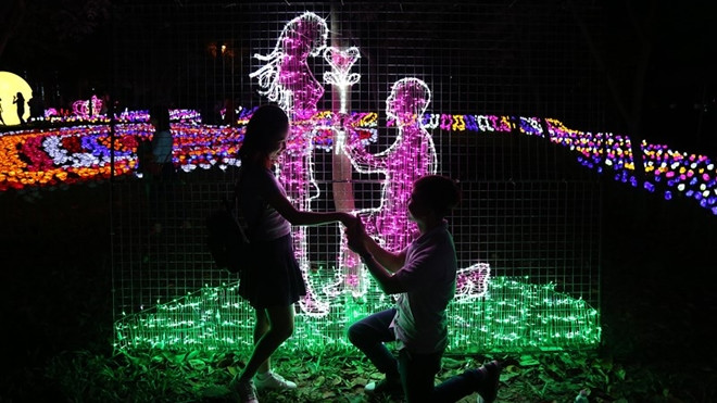 Giới trẻ đổ xô check-in khu vườn đèn Led rực rỡ nhất SG Ảnh 2