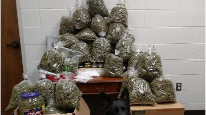 Vận chuyển cần sa làm quà Giáng sinh, cặp vợ chồng già nhận cái kết đắng Ảnh 2