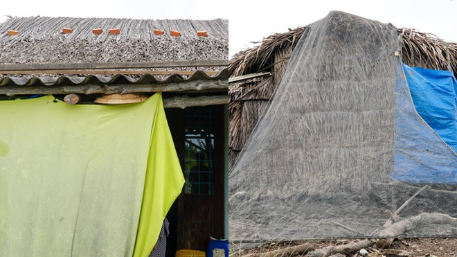 Những cách phòng chống bão 'siêu dị' của người dân Nam Bộ Ảnh 2