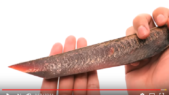 Cứng như đá, mài sắc như dao nhưng lại là món ăn ngon lành: Chuyện thật như đùa chỉ có ở Nhật Bản Ảnh 2