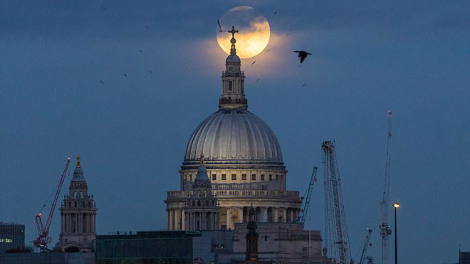 ‘Trăng sói’ cực hiếm xuất hiện ở khắp nơi trên thế giới Ảnh 2