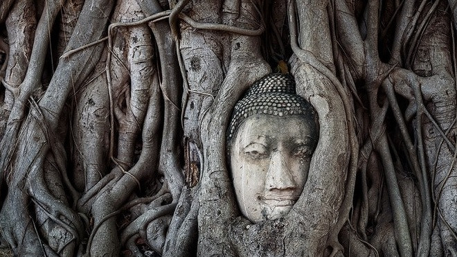 Du lịch Đông Nam Á, chớ dại làm những điều này! Ảnh 2