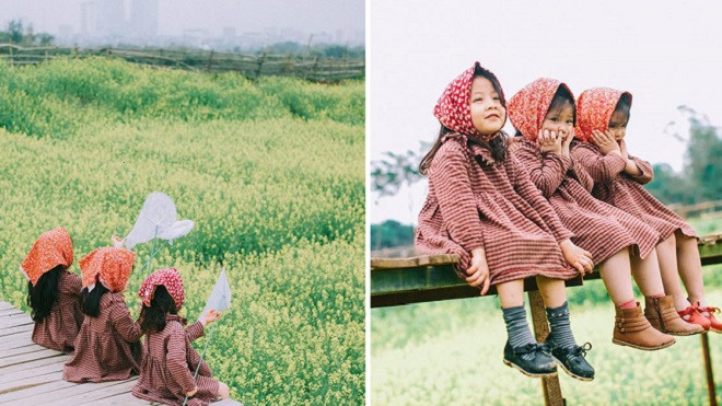 'Bộ 3 sát thủ mầm non' trên cánh đồng hoa cải siêu dễ thương Ảnh 2