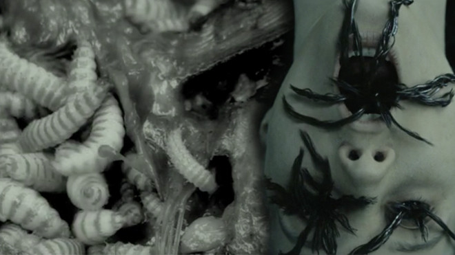 Khán giả la ó trailer của phim kinh dị 'Slender Man' vì quá đáng sợ và 'ghê tởm' Ảnh 2