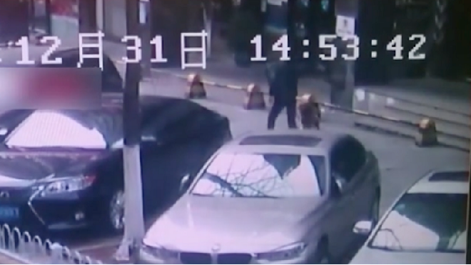 Cảnh sát Trung Quốc hứng chỉ trích dữ dội khi đánh chó đến chết trên vỉa hè Ảnh 2